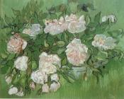 文森特 威廉 梵高 : 静物，粉红色的玫瑰